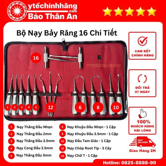 Bo Nay Bay Rang 16 Chi Tiet
