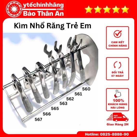 Kim Nho Rang Tre Em Cac So