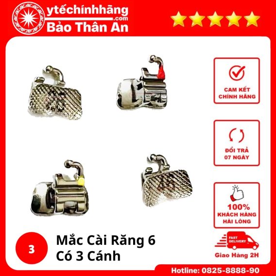 Mac Cai Rang 6 Co 3 Canh