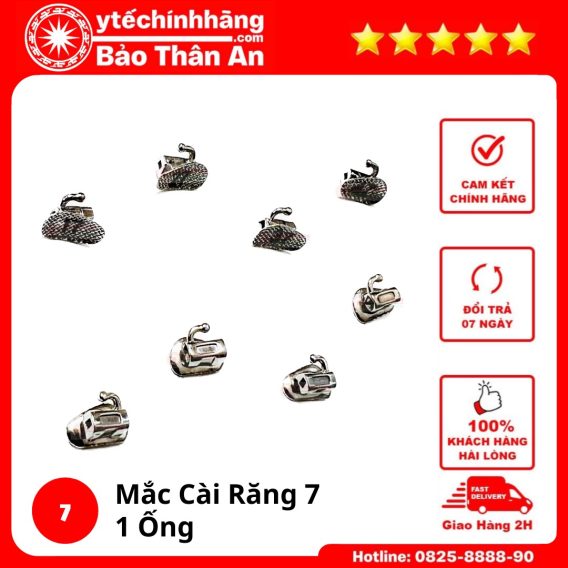 Mac Cai Rang 7 1 Ong Laser