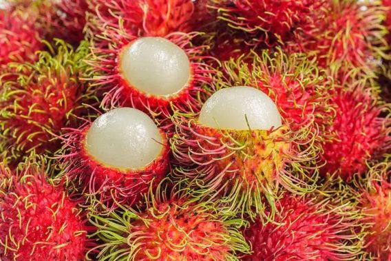 10 Loại Trái Cây Tốt Cho Bà Bầu 23 10 Loai Trai Cay Ba Bau Nen An 10