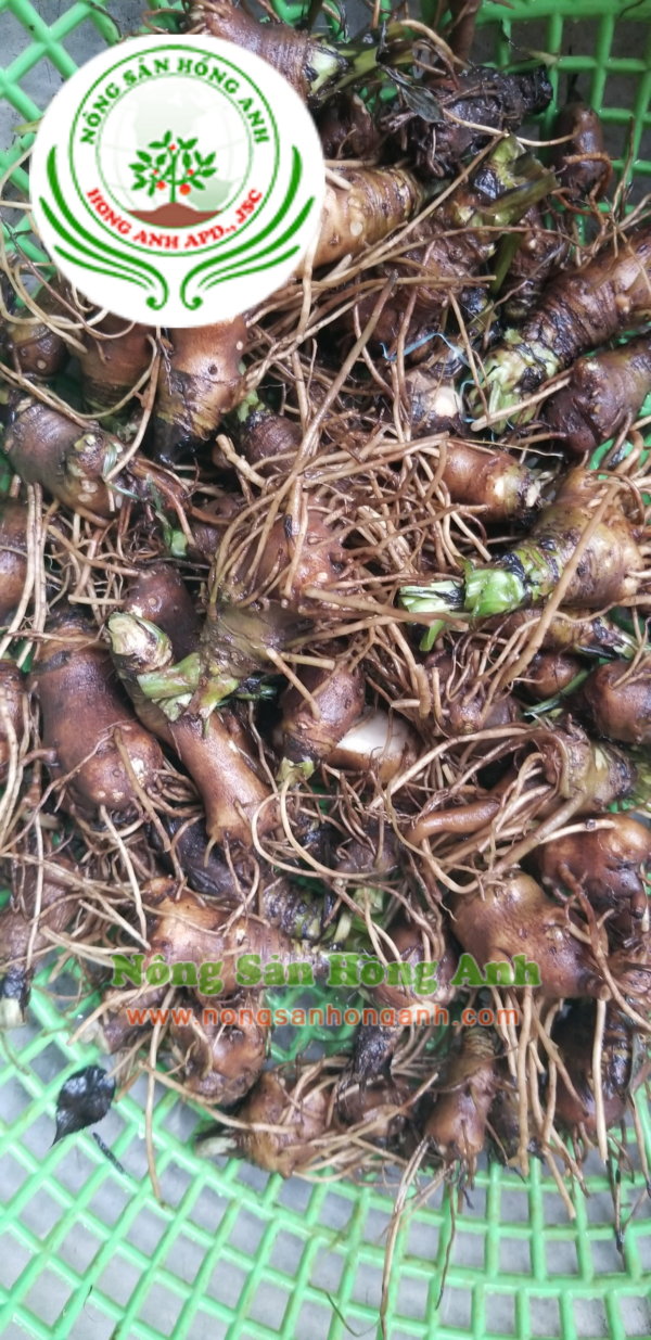 Thiết kế không tên