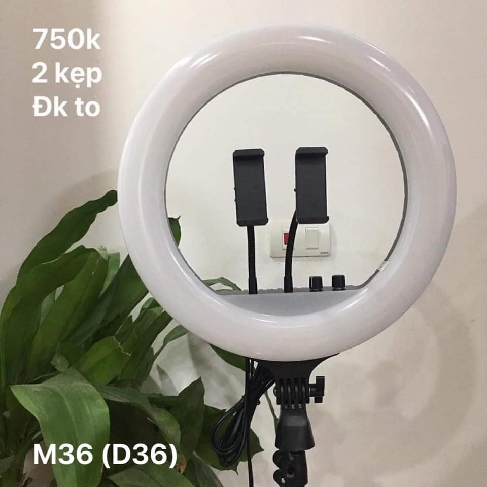 A06A11D5-3D4F-404B-9394-8C16DCB95C81