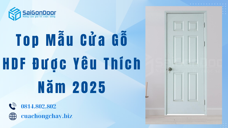 Top Mẫu Cửa Gỗ HDF Được Yêu Thích Năm 2025