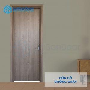 TOP 30 mẫu cửa chống cháy thịnh hành nhất hiện nay