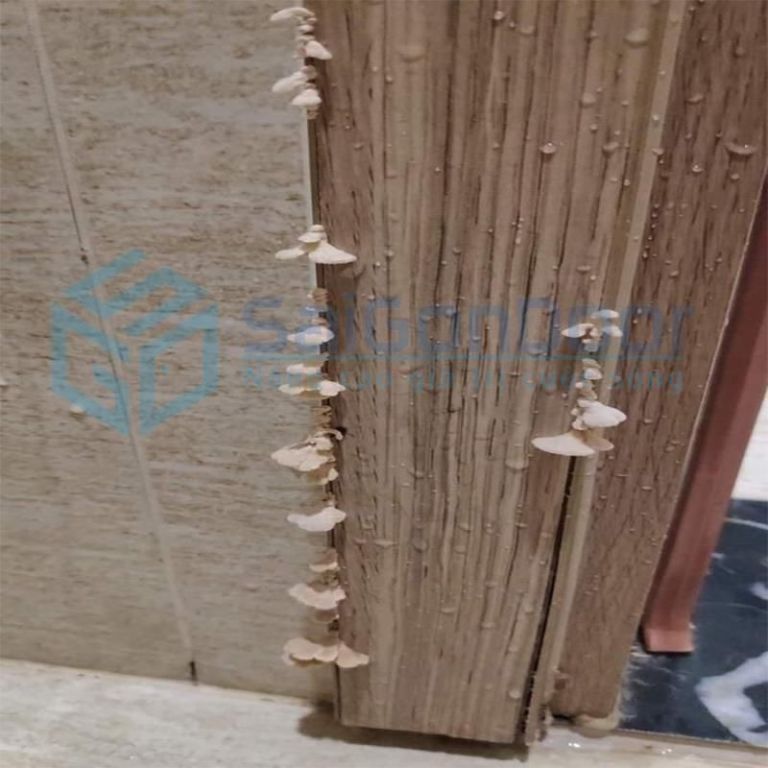 Cửa thép vân gỗ giải pháp thay thế hoàn hảo cho cửa gỗ tự nhiên 6 mau cua tu nhien hong