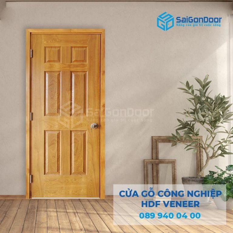 Hình 6 - Mẫu cửa nhà 1 cánh giá tốt Hình 6 - Mẫu cửa nhà 1 cánh giá tốt