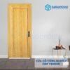 Cửa Gỗ Công Nghiệp HDF Veneer 1B-Soi 4 Cửa gỗ công nghiệp HDF Veneer 1B-Soi