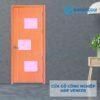 CỬA GỖ CÔNG NGHIỆP MDF VENEER P1G3-ash 3 Cửa gỗ công nghiệp MDF Veneer P1G3-ash