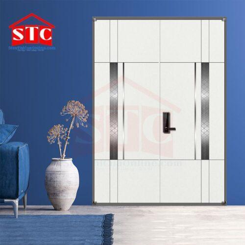 Cửa thép vân gỗ 2 cánh Type-06