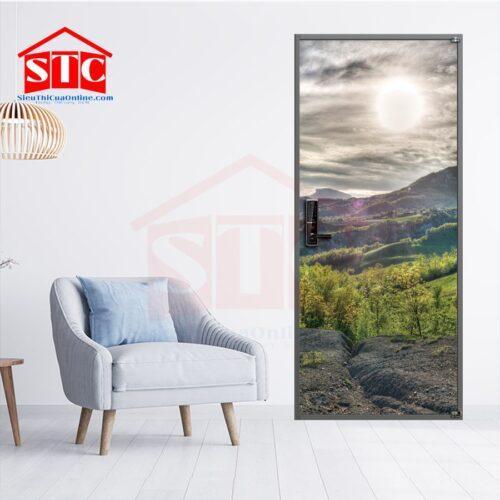 Cửa thép vân gỗ phòng ngủ Cửa-3