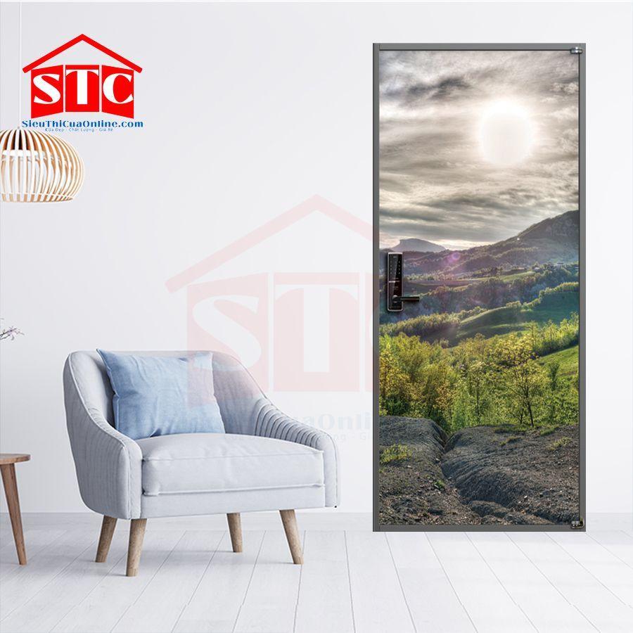 Cửa thép vân gỗ phòng ngủ Cửa-3