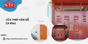 Cửa thép vân gỗ Cà Mau: 7 Ứng dụng phổ biến nhất của cửa