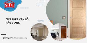 Cửa thép vân gỗ Hậu Giang: Báo giá và hướng dẫn cách chọn mua tiết kiệm nhất