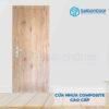 CỬA NHỰA COMPOSITE B15-61 4 Cửa nhựa Composite B15-61