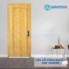 Cửa gỗ công nghiệp HDF Veneer 1B-Soi