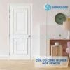 CỬA GỖ CÔNG NGHIỆP MDF VENEER PN4-C1 4 Cửa gỗ công nghiệp MDF Veneer PN4-C1