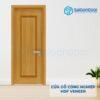 Cửa Gỗ Công Nghiệp HDF Veneer SGD 1B soi (1) 3 Cửa gỗ công nghiệp HDF Veneer SGD 1B soi (1)