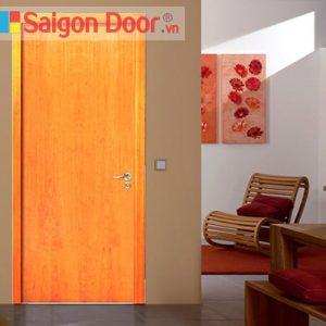Cửa gỗ cao cấp