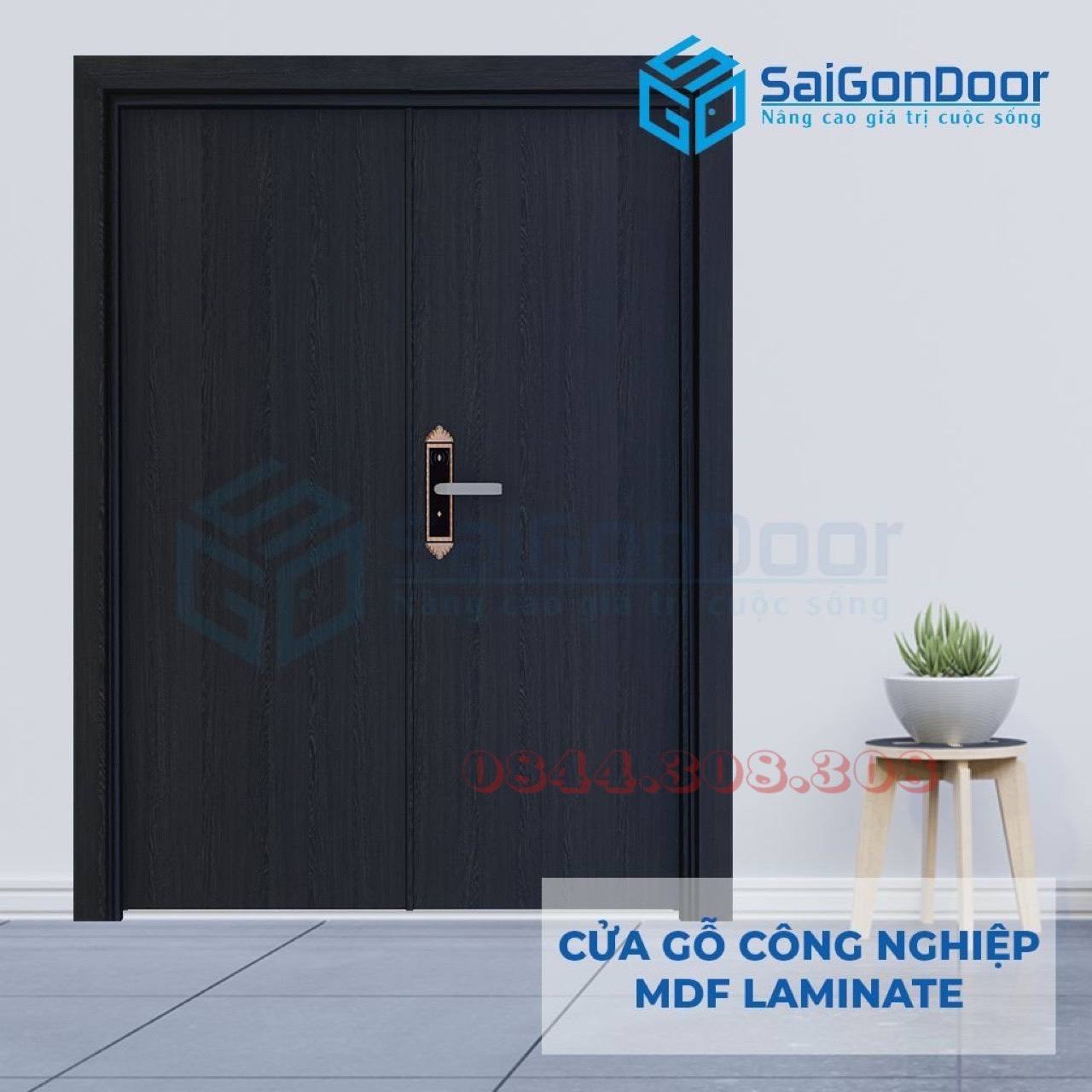 CỬA GỖ CN PHỦ LAMINATE