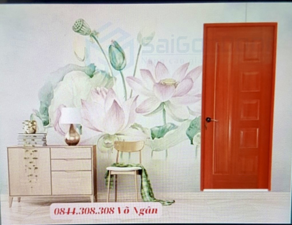 CỬA GỖ CN HDF