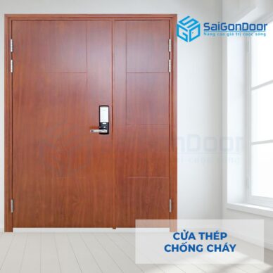 Top 20+ Mẫu cửa thép vân gỗ hiệu quả nhất hiện nay