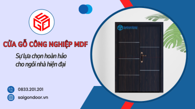 Cửa gỗ công nghiệp MDF_ Sự lựa chọn hoàn hảo cho ngôi nhà hiện đại (6)