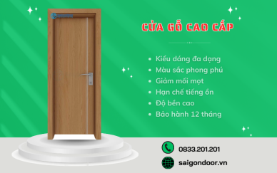 Khám phá những mẫu cửa gỗ cao cấp đẹp và ấn tượng nhất hiện nay (3)