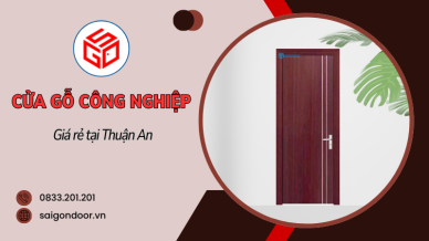 Cửa Gỗ Công Nghiệp – Lựa Chọn Hoàn Hảo Và Giá Rẻ Tại Thuận An (2)