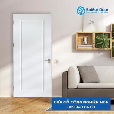 55+ MẪU CỬA GỖ 1 CÁNH ĐẸP NHẤT HIỆN NAY