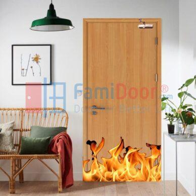 CỬA GỖ CHỐNG CHÁY LÀ GÌ?CẤU TẠO CHI TIẾT