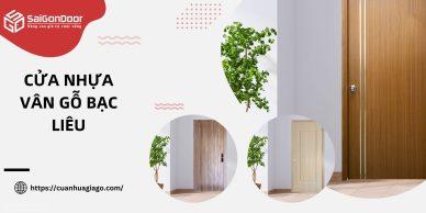 cửa nhựa vân gỗ Bạc Liêu