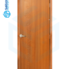 CỬA NHỰA ABS MÃ: ABS-ATAS