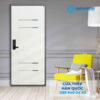 B 508 H.jpg SGD THQ