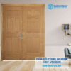 Cua go HDF Veneer 2 canh 12A soi.jpg SGD HDFV