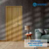 Cua ABS KOS 116 K1129 4.jpg SGD ABS