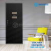 GH 613 RB.jpg SGD THQ