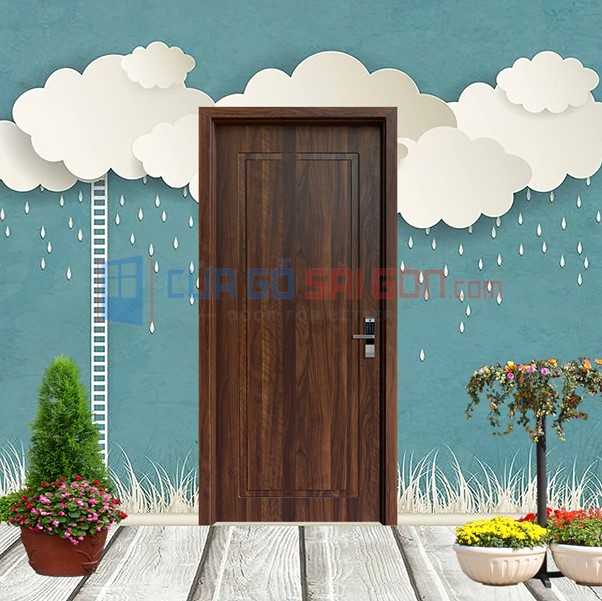 Mẫu cửa gỗ chịu nước 5