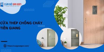Cửa thép chống cháy Tiền Giang đa dạng mẫu mã, màu sắc