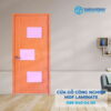 Cua go MDF veneer P1G3 ash.jpg SGD MDFLa