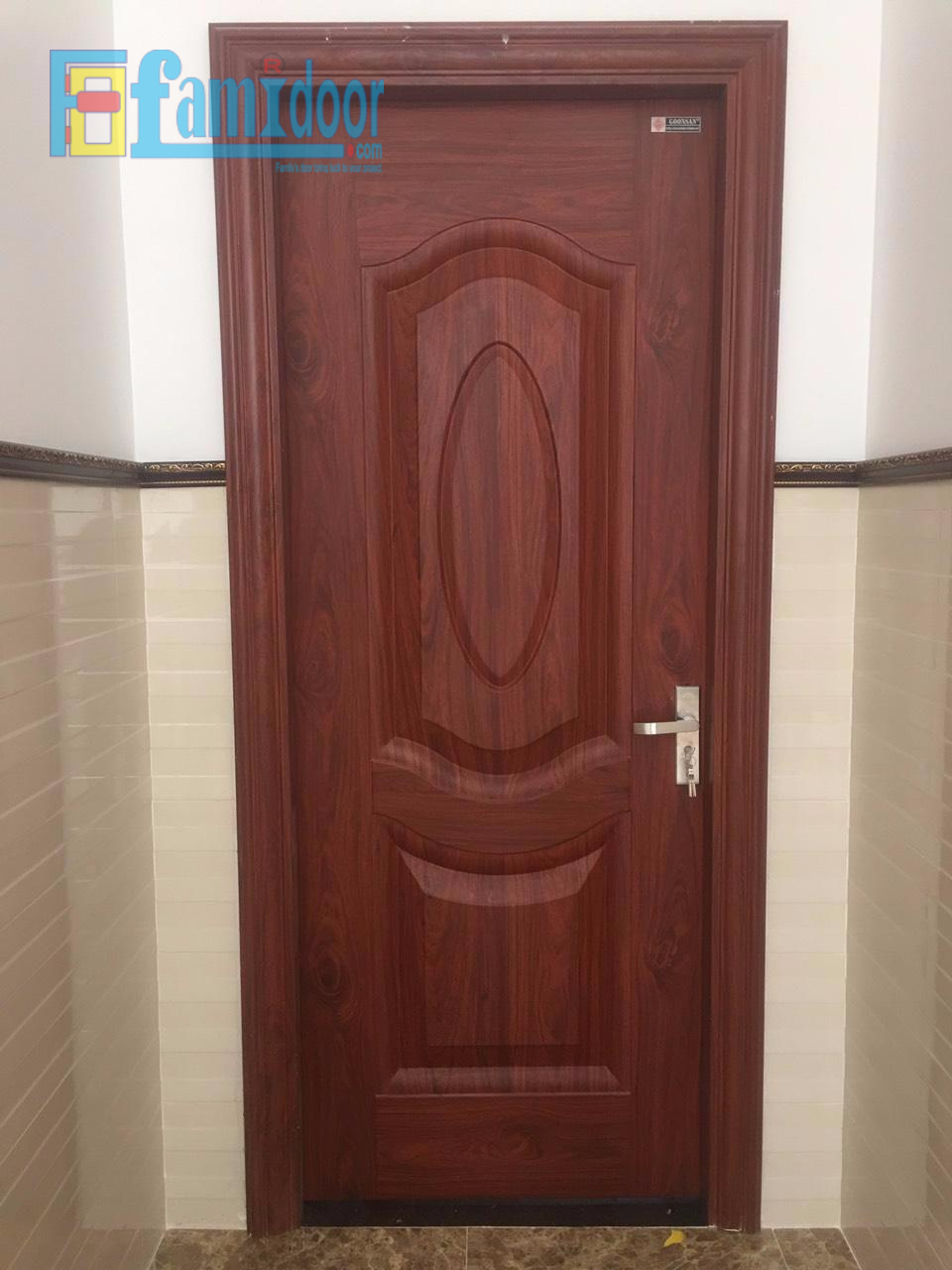 Cửa thép vân gỗ SGD 5