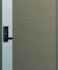 CỬA THÉP HÀN QUỐC 102_T