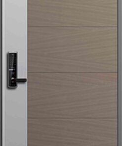 Cửa thép Hàn Quốc THQ 415