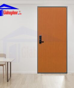 CỬA THÉP HÀN QUỐC C_T
