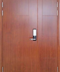 Cửa thép chống cháy 2P van go