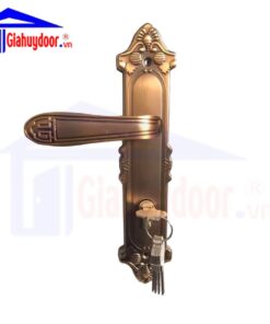 Khóa cửa đại sảnh cao cấp