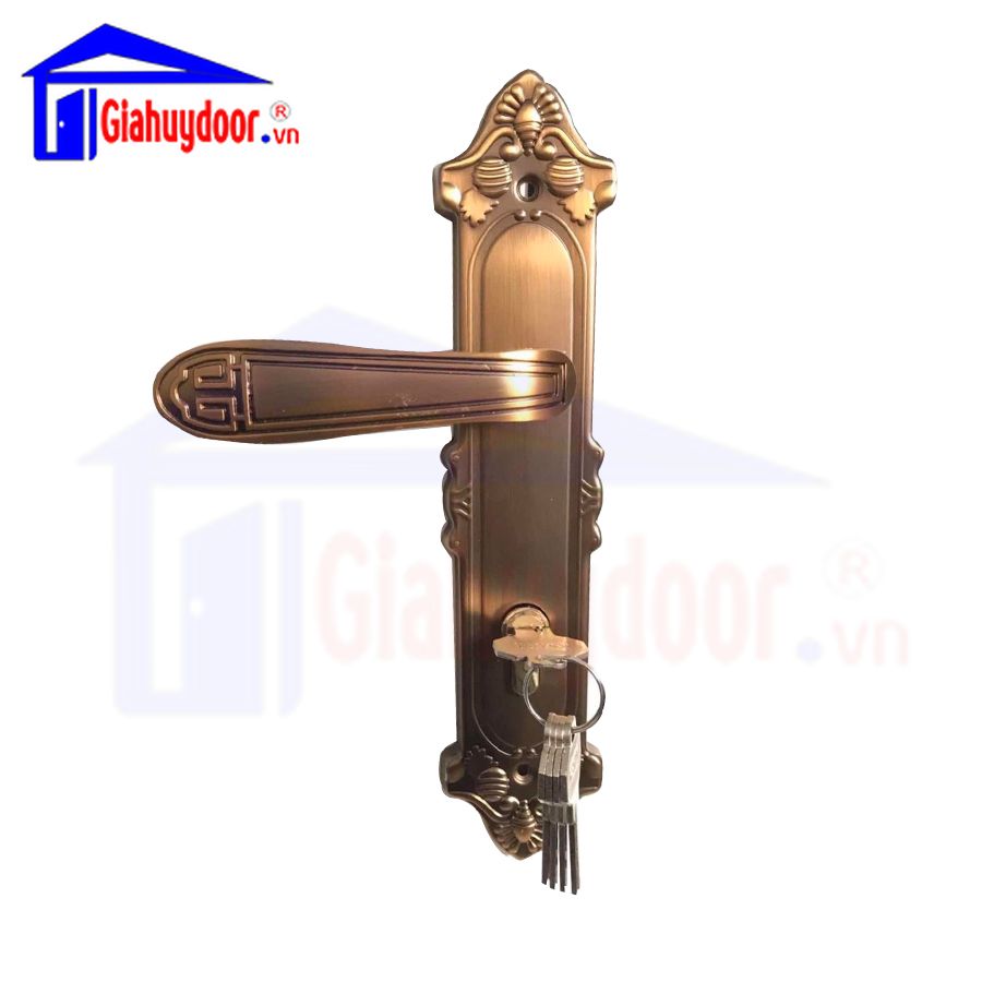 Khóa cửa đại sảnh cao cấp