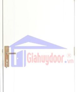 Cửa Nhựa Gỗ SungYu SYA.P1-A01