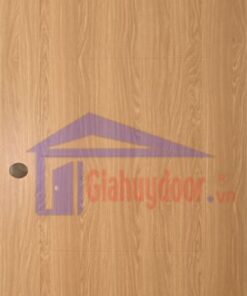 Cửa Nhựa Gỗ SungYu SYB-B06