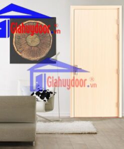 Cửa Nhựa Gỗ SungYu SYB.P1-B01, Cửa nhựa Composite, Cửa nhựa SungYu, Cửa nhựa gỗ, Cửa nhựa cao cấp, Cửa nhựa nhà ở, Cửa nhựa vân gỗ,
